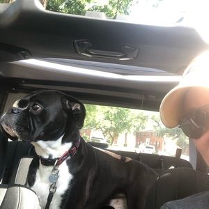 Meet your Posher, Kajsa